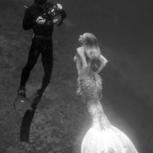 Meet your Posher, Jacqui